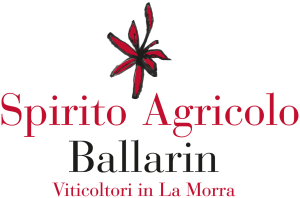 Distilleria Spirito Agricolo Ballarin